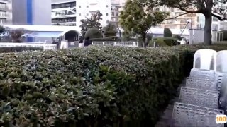 🈲🈲黑人av无码播放亚洲人